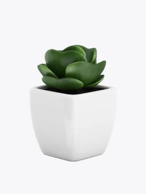 product-image-9_optimized Plantain Chips