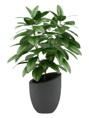 Neat Fufu / Hausa Coco